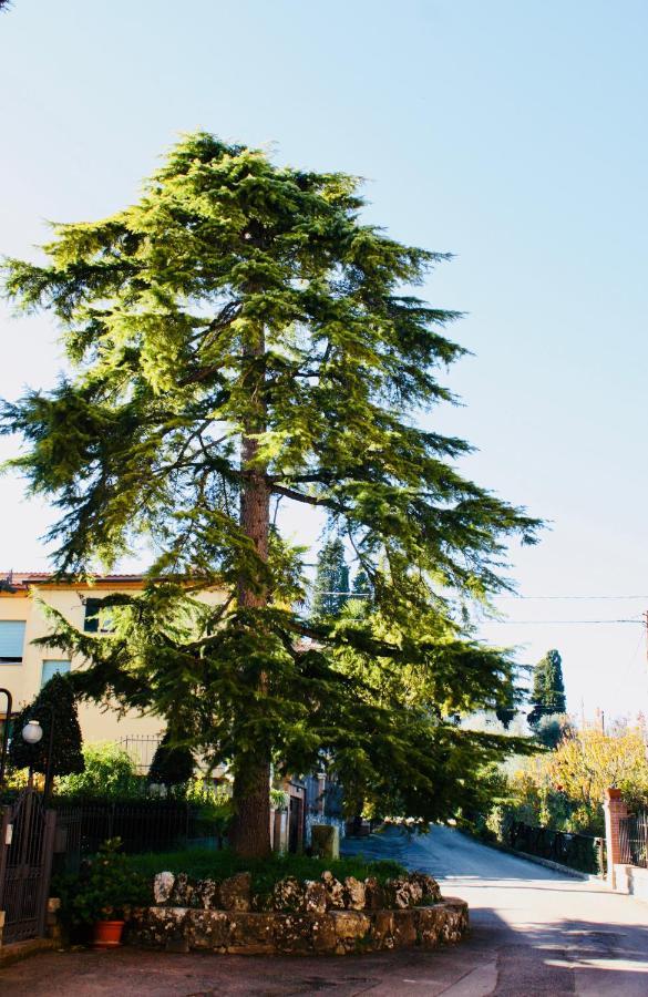 La Torre Di Caprera Apartment Siena Exterior photo